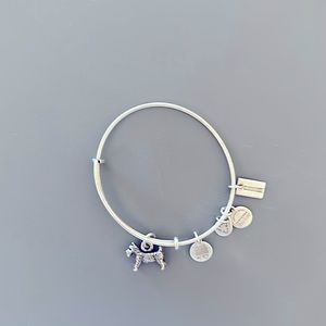 Alex and Ani Monopoly dog bracelet